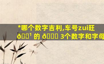 *
哪个数字吉利,车号zui
旺 🌹 的 🐒 3个数字和字母
